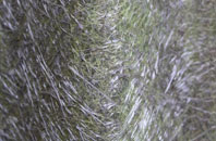 Eshton fibreglass roof work